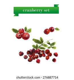 Vector set of watercolor cranberries on white background. Fresh food illustration. Good for magazine and book articles, poster design.