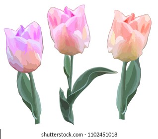 Vector set of watercolor different tulips. Vivid design  for stencils,  interior decoration, clothing. Colorful painted templates. 