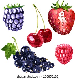 6,831 Blackberry Watercolor Images, Stock Photos & Vectors 