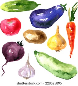 Vector set of watercolor drawing vegetables,food design elements, hand drawn illustration