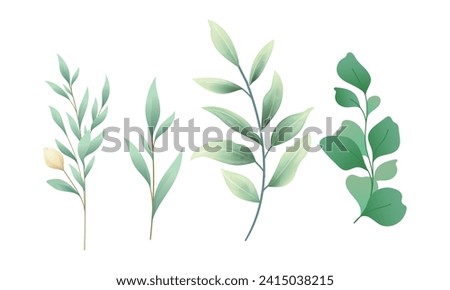 Vector set of watercolor flower and leaf on white.