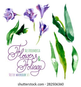 Vector set of watercolor flowers and leaves 