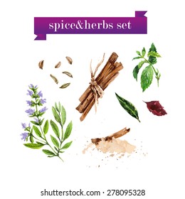 Vector set of watercolor fresh vegetables on white background. Fresh food illustration. Good for magazine and book articles, poster design, restaurant menu template.
