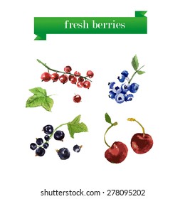 Vector set of watercolor fruits on white background. Fresh food illustration. Good for magazine and book articles, poster design, restaurant menu template.