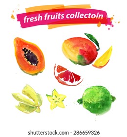 Vector set of watercolor fruits on white background. Fresh food illustration. Good for magazine and book articles, poster design, restaurant menu template.