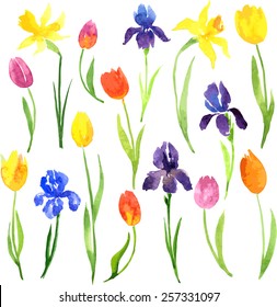 vector set of watercolor garden flowers, hand drawn floral design elements