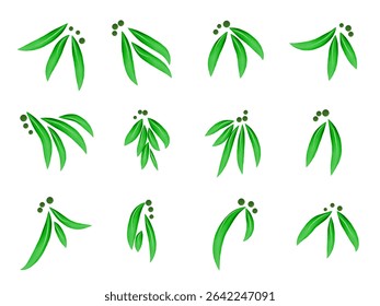 Vector set of watercolor green decorative leaves with round elements on a white background. Vector elements for decoration, design and decorative compositions