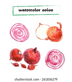 Vector set of watercolor hand drawn onion elements isolated on white background. Fresh vegetable product artistic illustration. Recipe book, vegetarian journal, cooking magazine, menu cover.