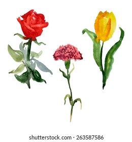 Vector set watercolor hand drawn flowers on a white background