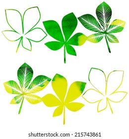 vector set of watercolor maple autumn leaves in green and yellow