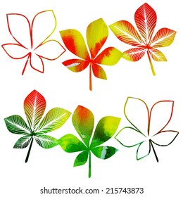 vector set of watercolor maple autumn leaves in the green-yellow-red