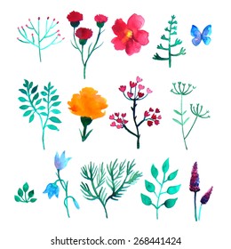 Vector set of watercolor plants on white background