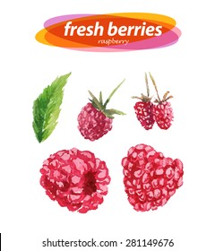 Vector set of watercolor raspberry elements on white background. Cute illustration is good for magazine or book, poster and card design, menu cover.