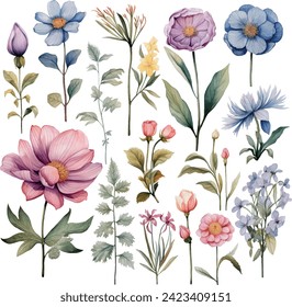 Conjunto vectorial de flores acuarelas realistas. Ilustraciones para invitaciones a bodas, impresiones, día de San Valentín de tarjetas, boda, amor