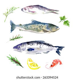 Vector set of watercolor sea food. Fish set on white back ground. Food illustration.