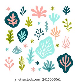 Vector set of watercolor sea plants and algae on a white background
