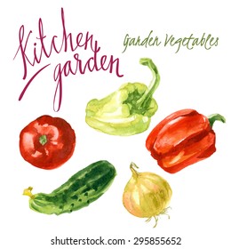 Vector set of watercolor sketches. The harvest from the garden