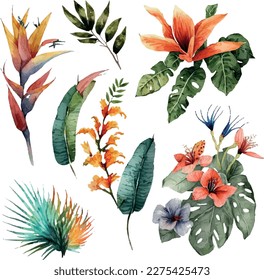 Vector set of Watercolor tropical floral illustration. green leaves and flowers, bouquets for wedding stationary