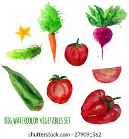 Vector set of watercolor vegetables isolated on white. EPS10.