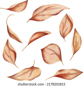 Vector set of watercolour autumn leaves. Graphic element for design of business card, wedding, autumn decorations