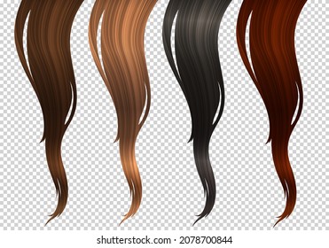 Vector Set of Wavy Strands of Colorful Hair Locks. Realistic 3d Illustration of Hairstyle Samples. Design Element for Hairdressers, Beauty Salons, Hair Care Cosmetics, Shampoo or Conditioner Packaging