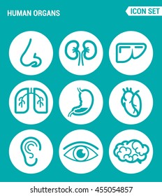 Vector set web icons. Drugs and medicines, nose, kidneys, liver, lungs, stomach, heart, ear, eye, brain. Design of signs, symbols on a turquoise background