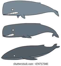 vector set of whale