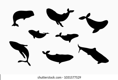 Vector set of whale silhouettes