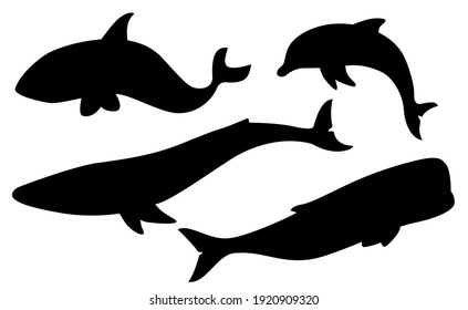 Vector set of whales and dolphin silhouettes.