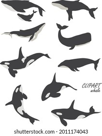 Vector set of whales, killer whales. Suitable for creating patterns, prints, wallpapers.