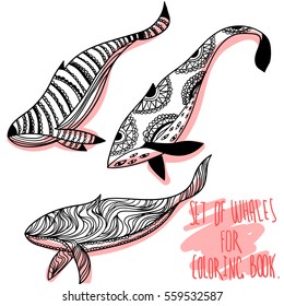 Vector set of whales outline for coloring pages. Coloring book for adults and children. Isolated black and white illustration of sea animals.
