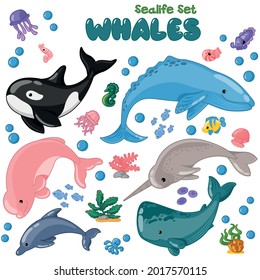 Vector set with whales and sea animals. Funny cartoon isolated collection sealife on white background.