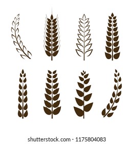 Vector Set of Wheat Icons, Grain Symbols, Different Shapes Collection, Black Design Elements Isolated on White Background.