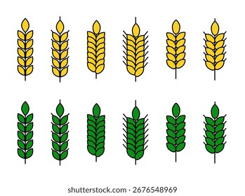 Conjunto de Vector de íconos de espiguilla de trigo en colores dorados y verdes, que simbolizan el grano maduro y no maduro. Perfecto para la agricultura, la alimentación orgánica, el diseño ecológico y agrícola.