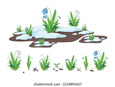 Vector set of white and blue snowdrops, small grass and a composition of snowdrops and melting snow.