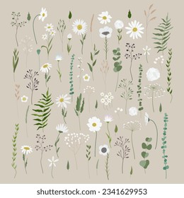 Vector set of white filed flowers and plants. Big collection of dandelions, daisies, chamomile, leaves, branches, twigs, and berries. Hand drawn flat vector illustration.