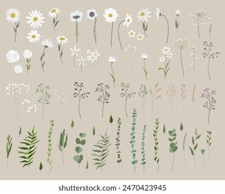 Vector set of white filed flowers and plants. Big collection of dandelions, daisies, chamomile, leaves, branches, twigs, and berries. Hand-drawn flat vector illustration.