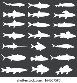 vector set of white fish silhouettes 