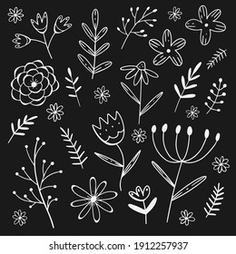 Vector set of white flower and twigs in doodle style isolated on black background. Hand draw vector illustration. Collection of decorative elements.