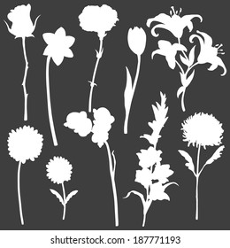 Vector set of white flowers silhouettes