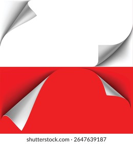 Vector set of white and red paper sheets with curled edges. For banners, ads, mockups and marketing templates. Realistic texture and shadow effect. Illustration.