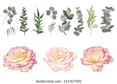 Vector set of white roses and plants. Compositions of plants. Plants and flowers isolated on a white background. Elements for floral design.