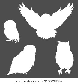 Vector Set of White Silhouette Owl Illustrations. Different Types of Owl.