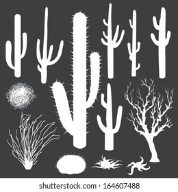 vector set of white silhouettes of cacti and other desert plants