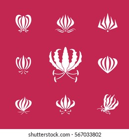 Vector set of white silhouettes gloriosa or flame lily flower. Elements for logos