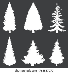 Vector Set of White Silhouettes of Pine Trees on Black Background