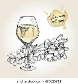 Vector set of white wine collection. Engraved vintage style. Glass and sultana grape. Isolated on grunge background. Decorated with lettering. Use for restaurant, cafe, store, food, menu, design.