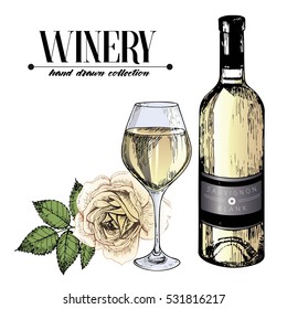 Vector set of white wine in engraved vintage style. Colored bottle, rose and glass. Isolated on white background.Decorated with lettering and blot. Use for restaurant, cafe, store, food, menu, design.