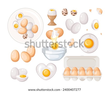 Vector set of whole and sliced chicken eggs, broken eggs, fried eggs of various shapes, a cardboard box with raw eggs. Ingredients for baking and cooking. Vector illustration in a flat style