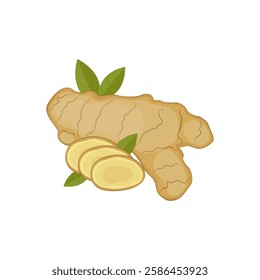 Vector set of whole and sliced ginger root icons. Vector illustration.